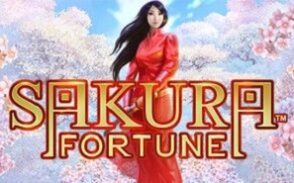 Sakura_Fortune